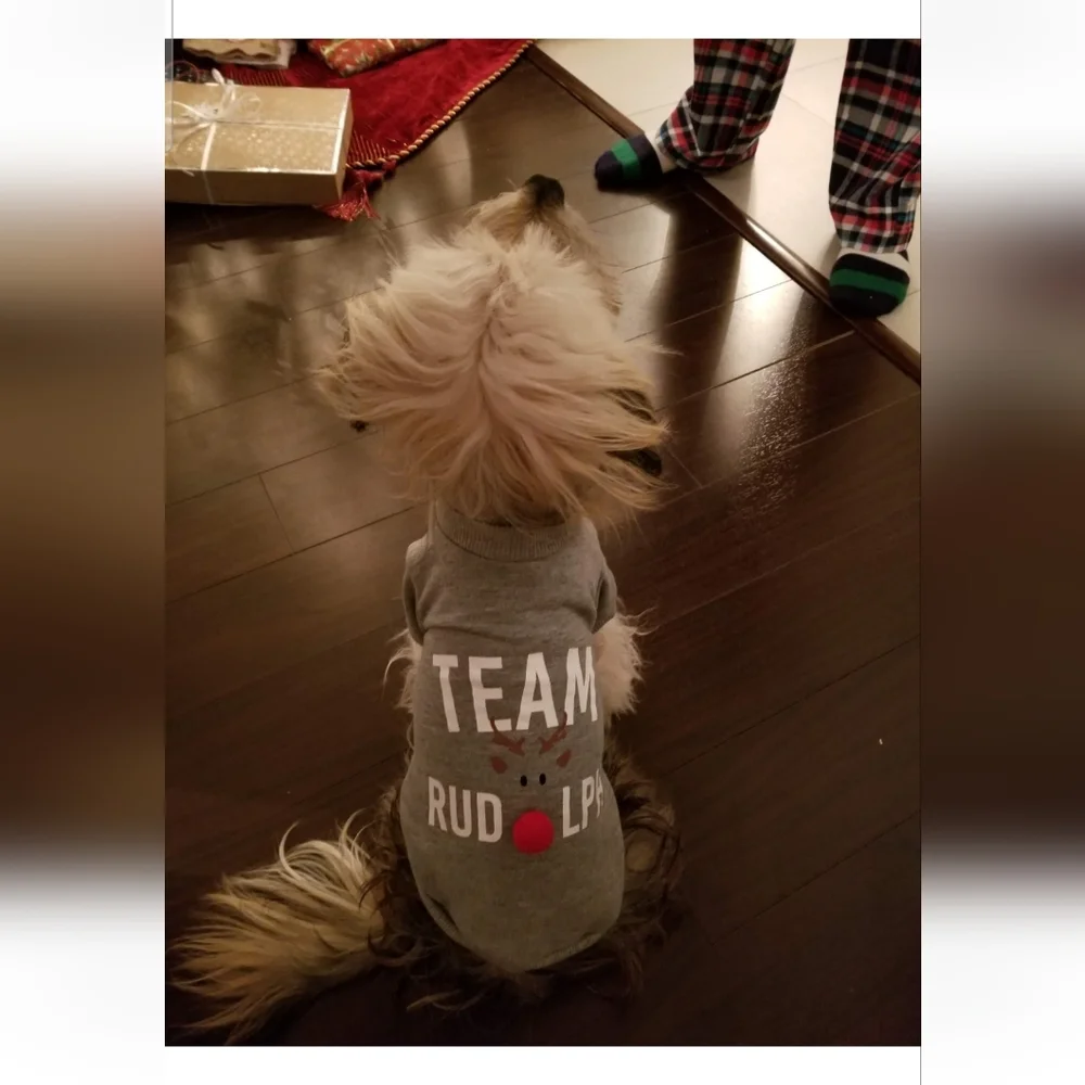 'Team Rudolph' Dog Tee - Picture 4 of 4